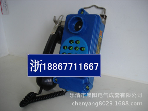 DSC04243_副本_副本