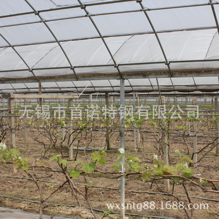 葡萄温室大棚专用管 热镀锌大棚钢管 大棚钢管
