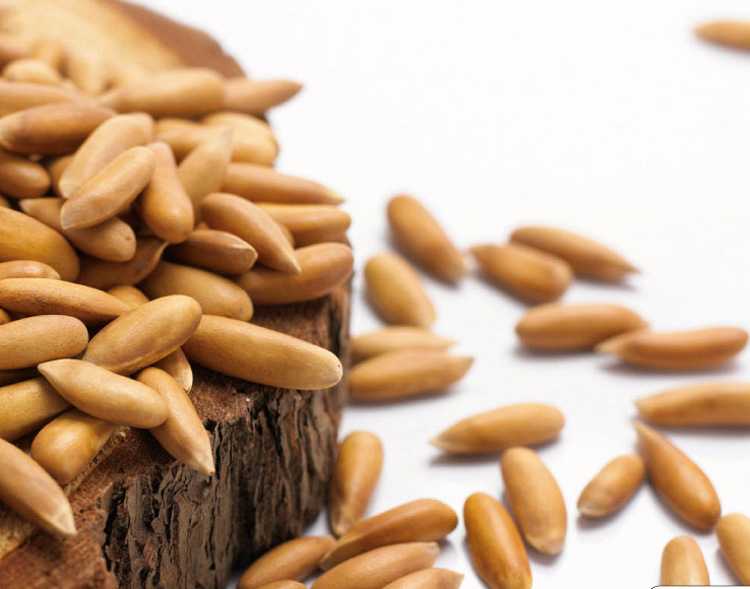 【益康食品】零食批发 坚果炒货 特级巴西松子