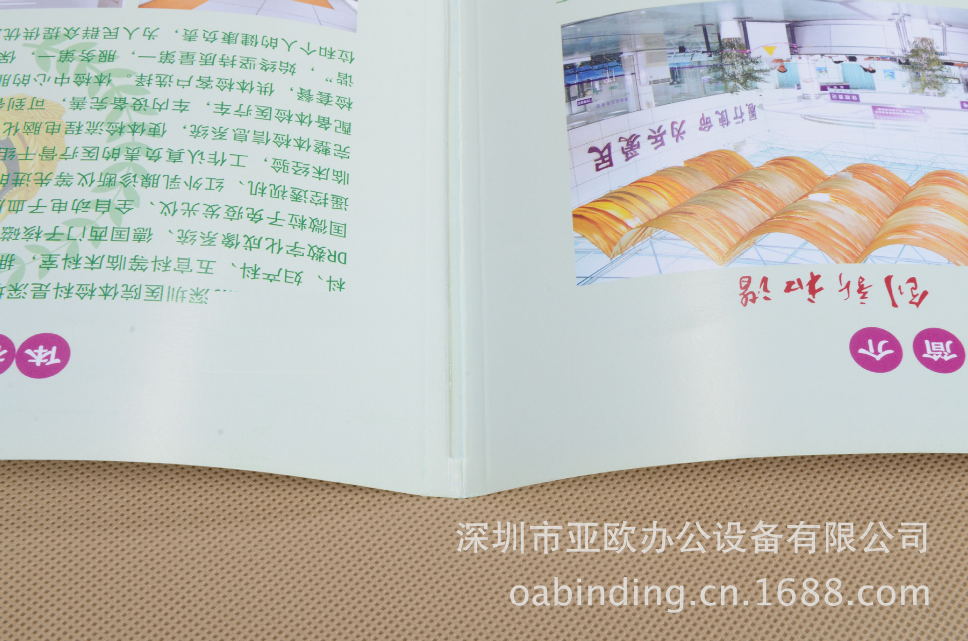 纸类印刷-厂家提供优质保单加工 报告封面 体检