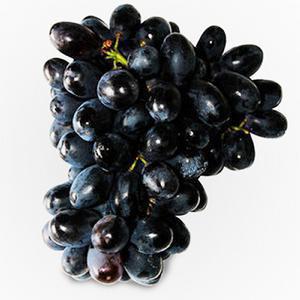 美国进口黑加仑 黑提子葡萄 养生新鲜水果 专业