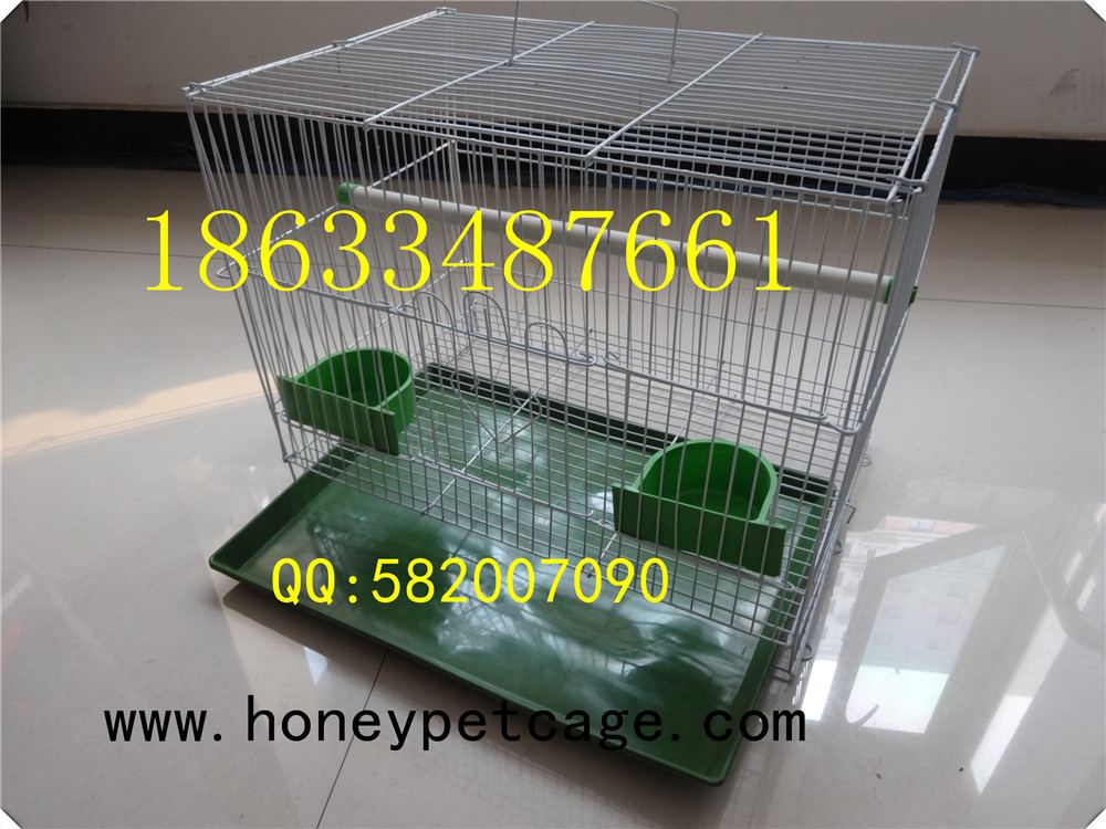 铁丝鸟笼 小群 (21)