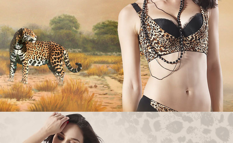 <em>文胸</em>-正品新款<em>文胸</em>豹纹小<em>胸罩带精油水袋</em>聚拢