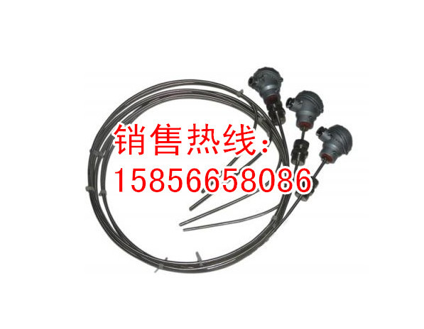 E铠装热电偶图片1_副本