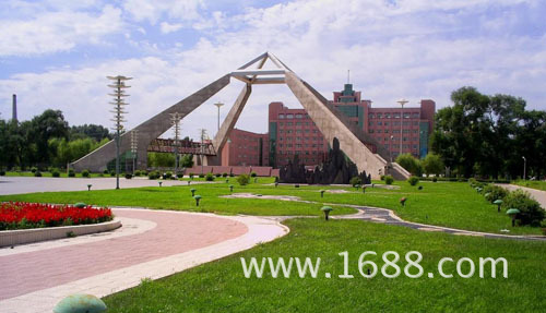 04【绿色之星】+我对绿色的感受+创鑫磁铁小