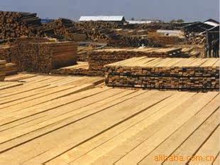 全国招商厂长直供建筑木方，木条，建筑模板，可定制规格。