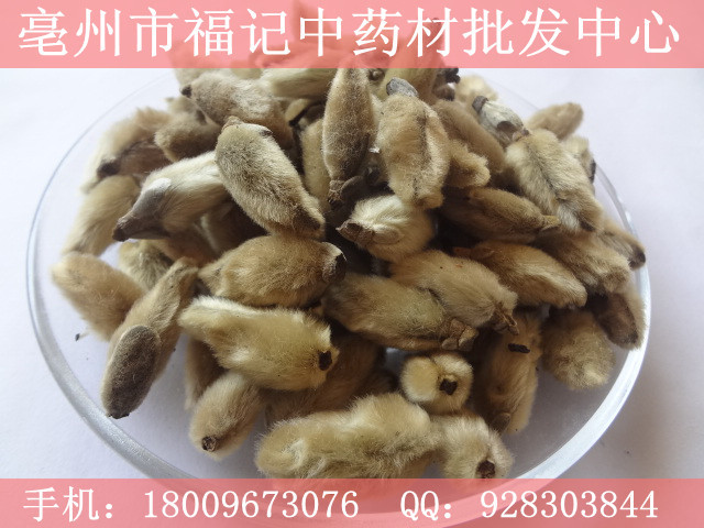 批发野生辛夷花茶 特级辛夷花 鼻炎中药 治头痛