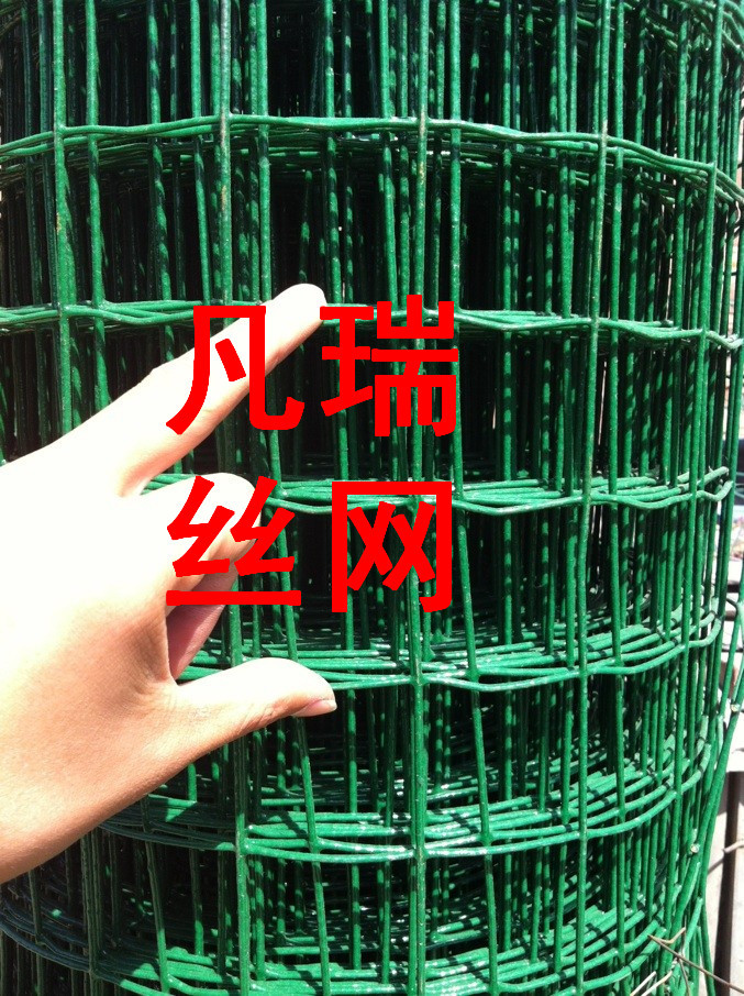 QQ图片20130616154314