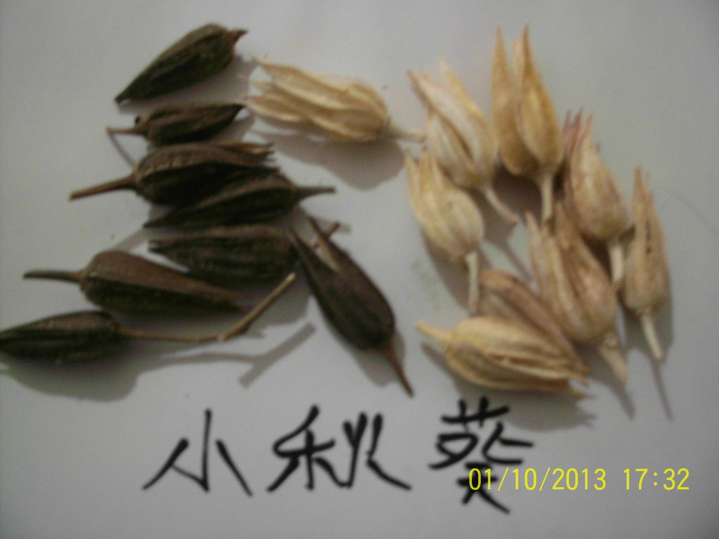 IMAG0190