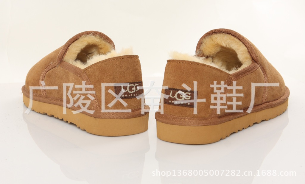 zqs_0397_conew1