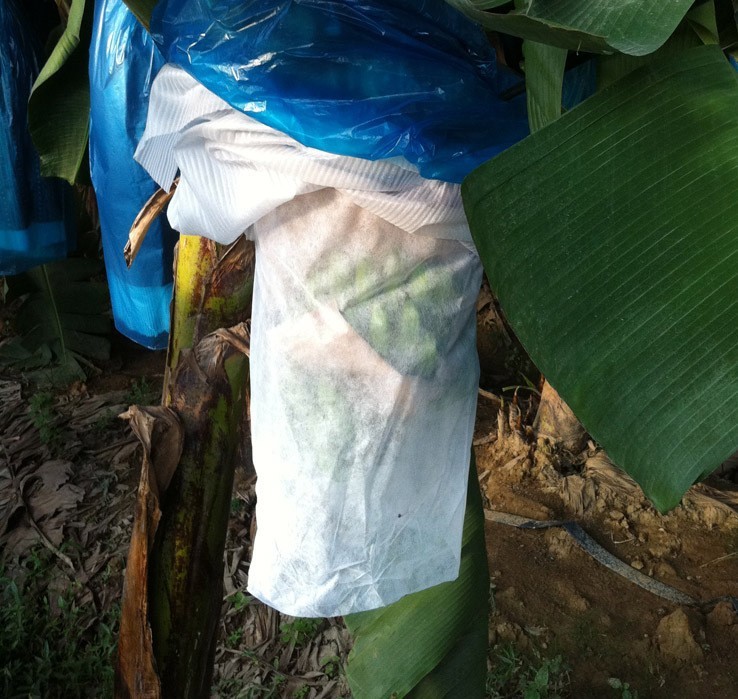 塑料制袋机-自动无纺布制袋机 香蕉袋-塑料制袋