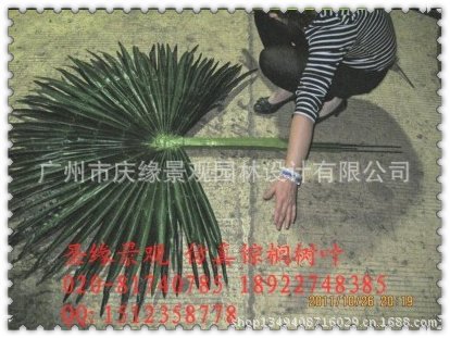 qq图片20130614101717