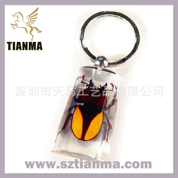 Real-Insect-Crystal-Key-Ring-S