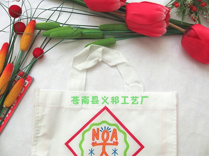 nonwoven bag1