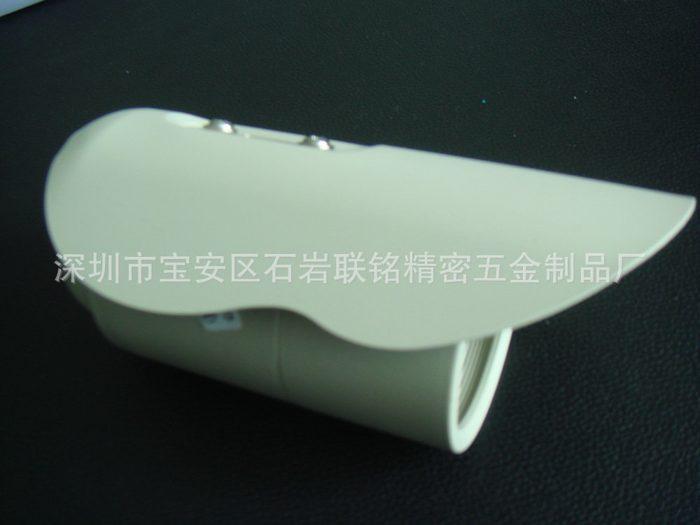 DSC04270
