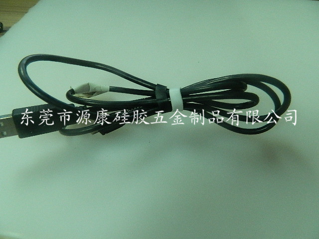 DSCN2723