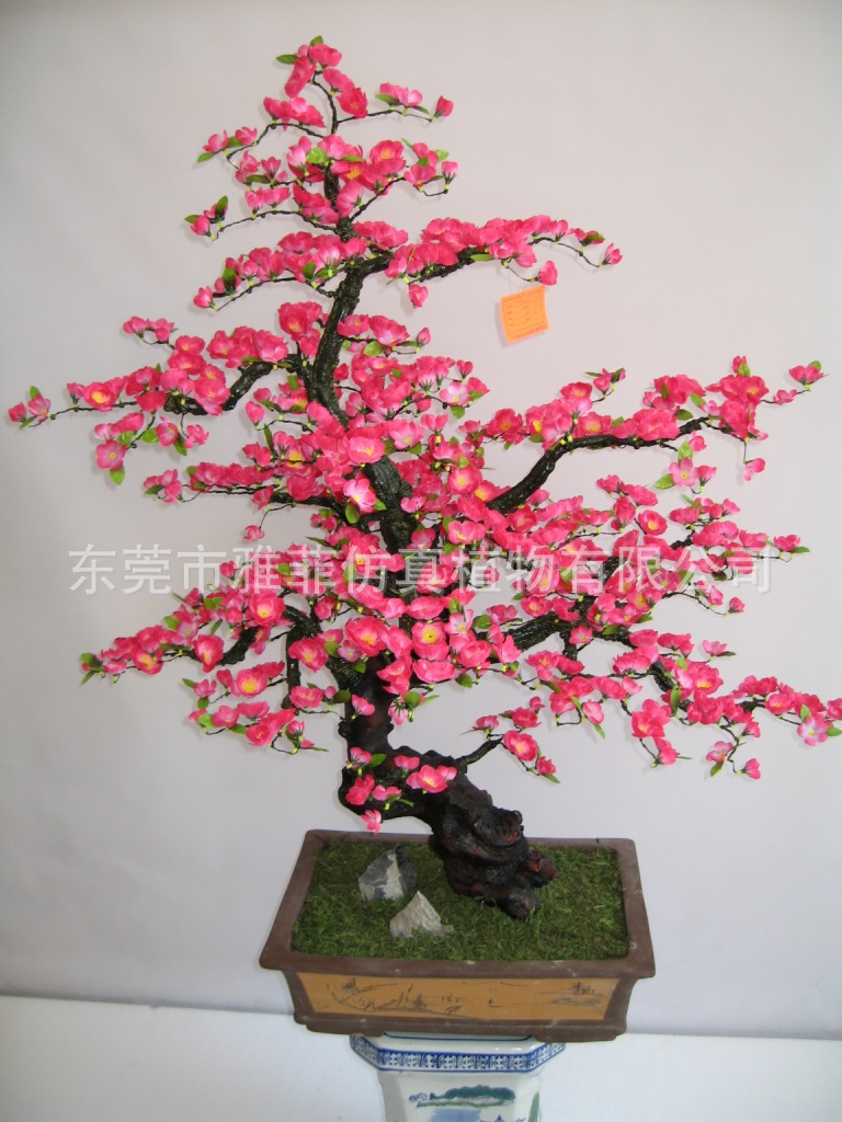 TP621 40寸紫砂盆号树头桃花盆景_旋转