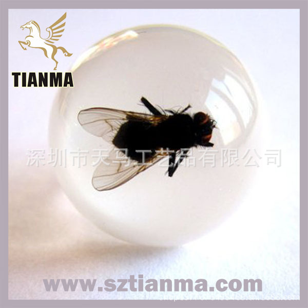 fly_white