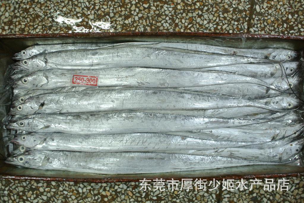 250-300g规格出口带鱼 冷冻带鱼批发