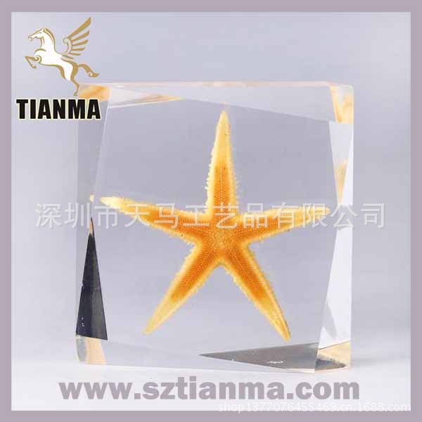 sea-star-paperweight-h02-378