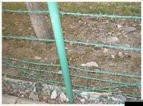 包胶刺绳隐形护栏