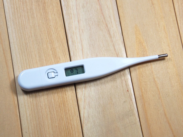 F253 家居必备 家用电子体温计 体温表婴儿宝