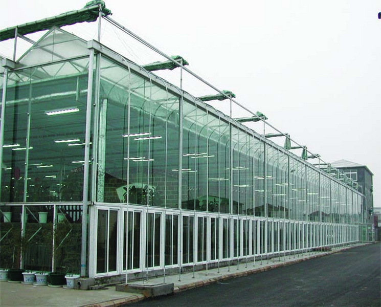 文洛型连栋PC板&玻璃温室