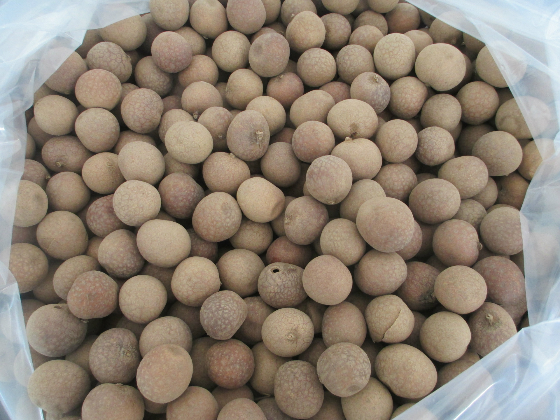 【喜德旺 供应批发小核桂圆干 福建特产 桂圆干