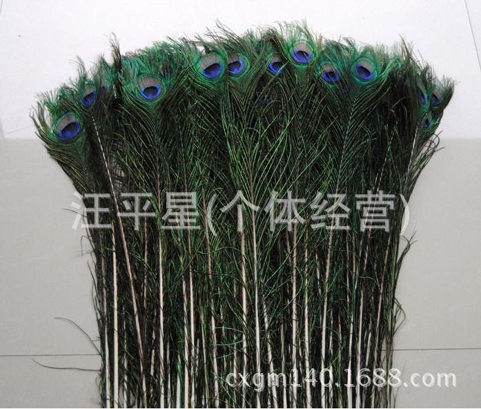 QQ图片20130921183117