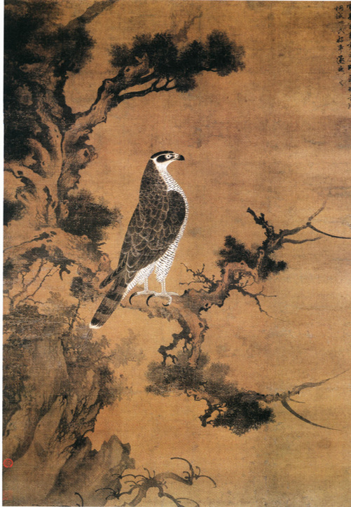 鹰桧?