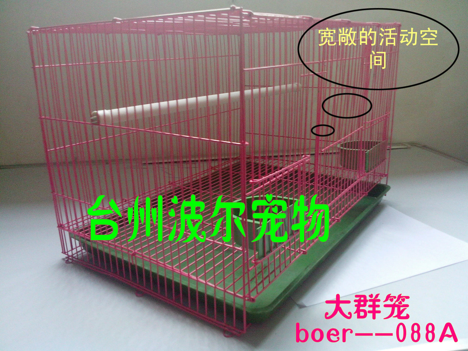 boer--088A-1大群籠