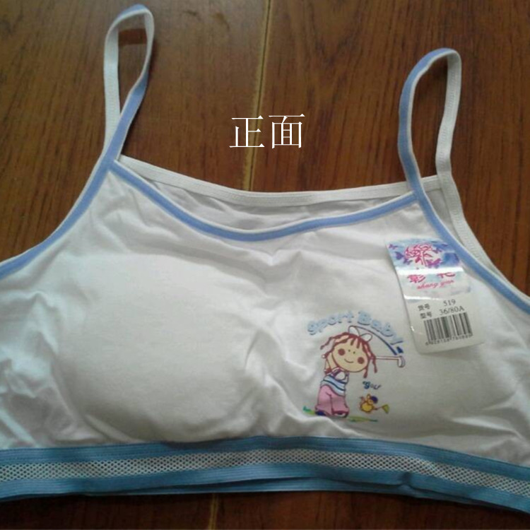 519 (5)_副本