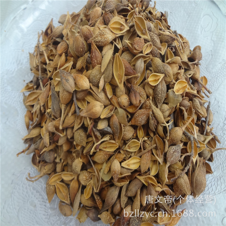 供应中药材连翘 黄翘 量大从优 质量保证 支持验