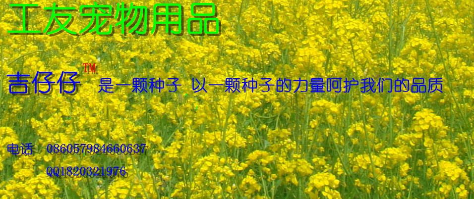 DSC09803_meitu_meitu_1_副本