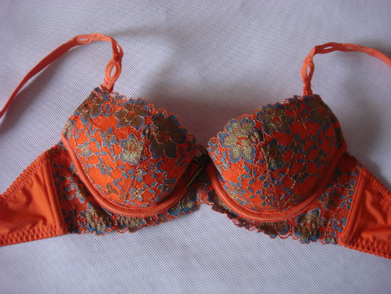 【厂家直销高档定型绣花<em>文胸无刚托</em>】高中低档