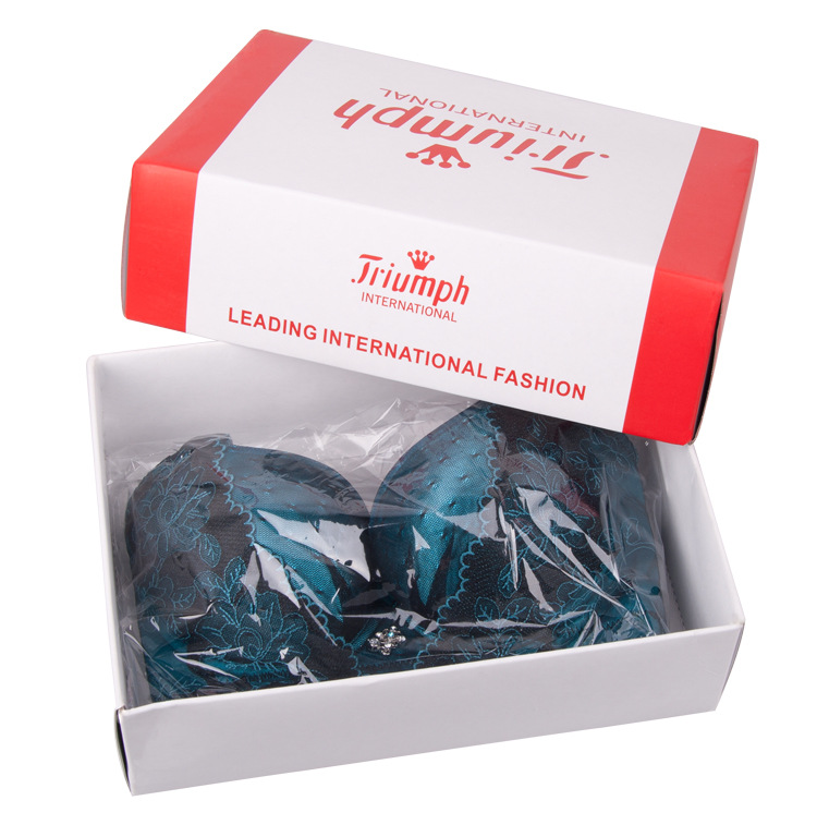 【黛安芬<em>文胸</em>精致包装盒【购买内衣如需精装盒