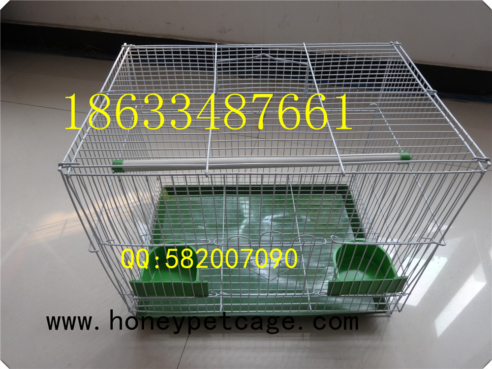 铁丝鸟笼 小群 (7)