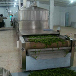 1062892761_382212928_search