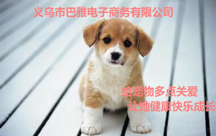 56_副本
