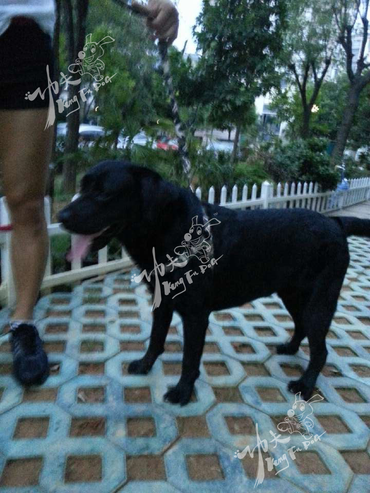 QQ圖片20130816200453