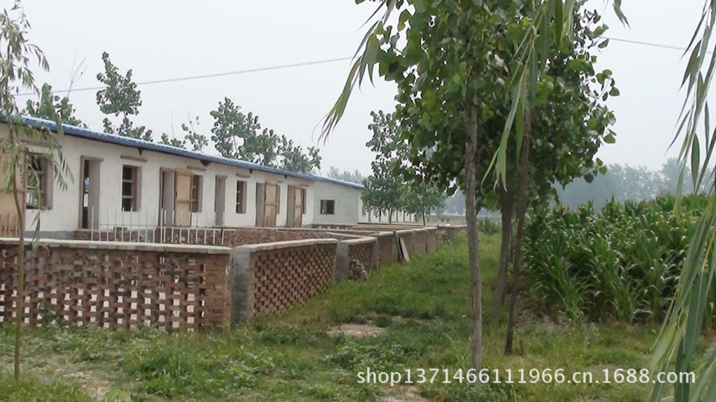 【长期供应小尾寒羊 肉羊 单县美佳青山羊繁殖