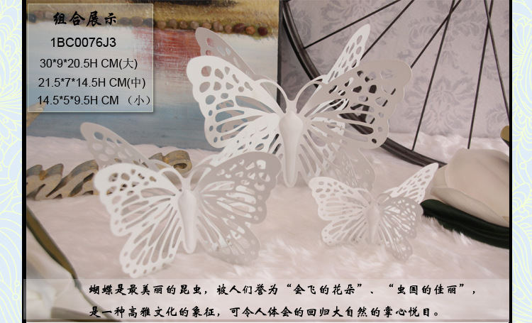 产品展示1BC0076J3-3