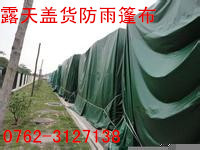 u=3396388389,319867299&fm=15&g