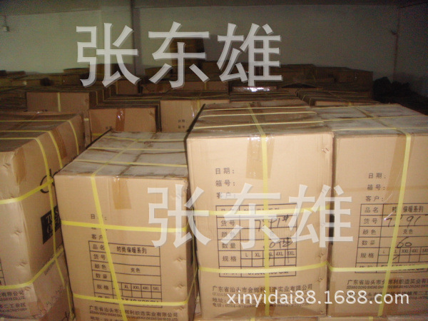 DSC03241