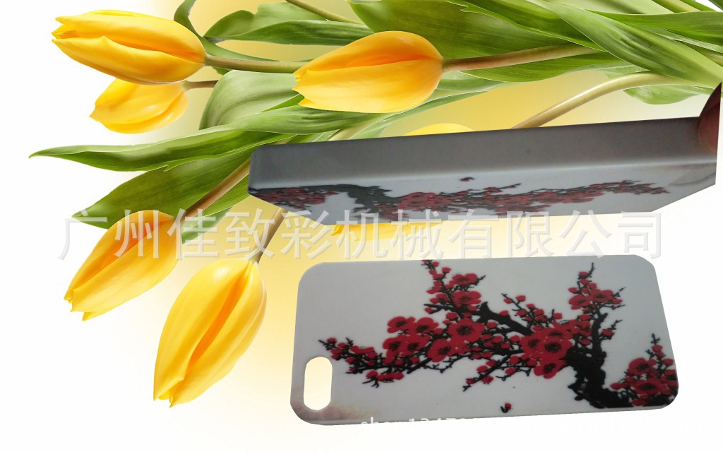 2013年6月份最新UV彩绘手机壳