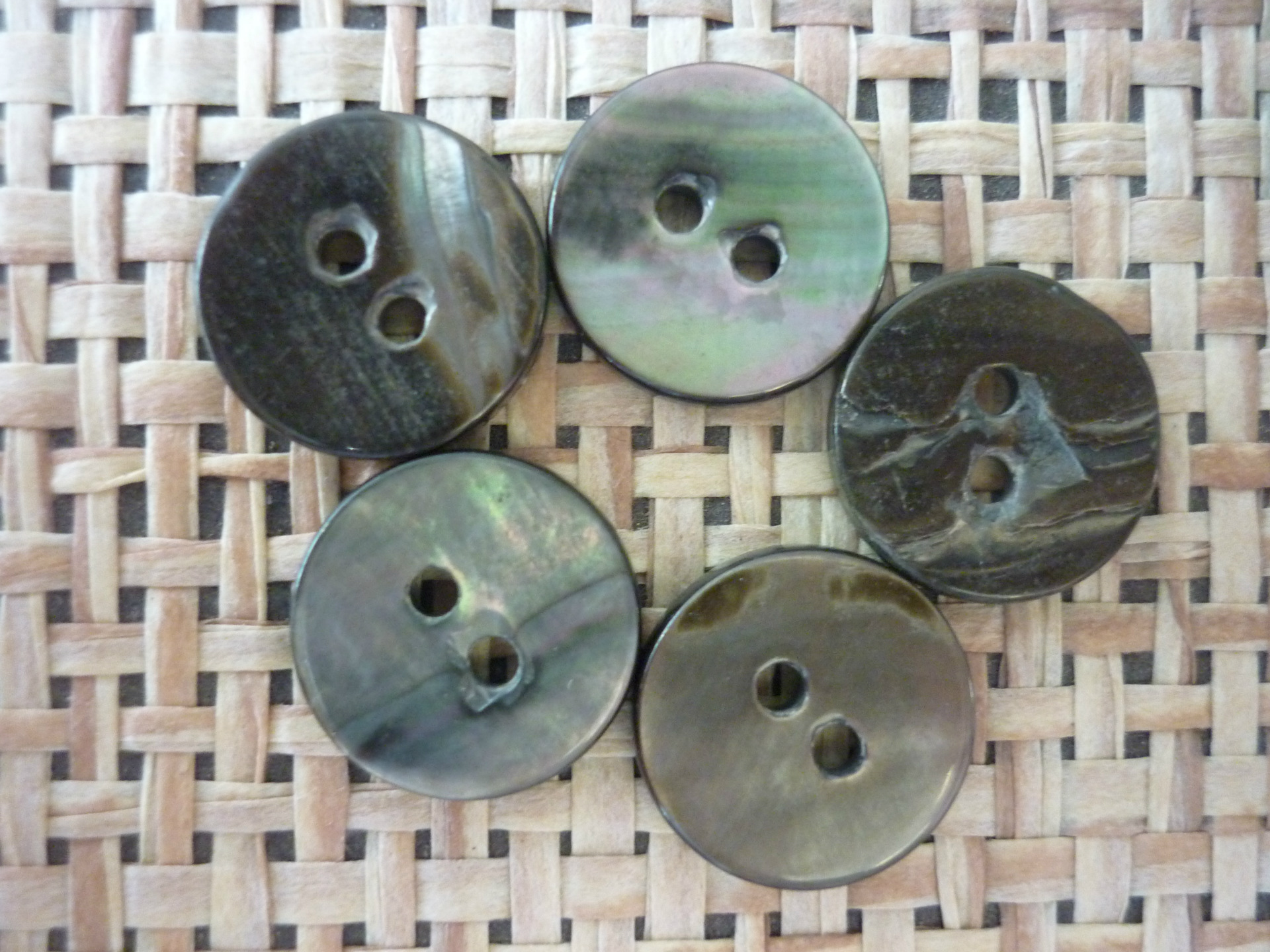 钮扣-供应平面两眼贝壳扣 黑蝶贝原黑 高档衬衫