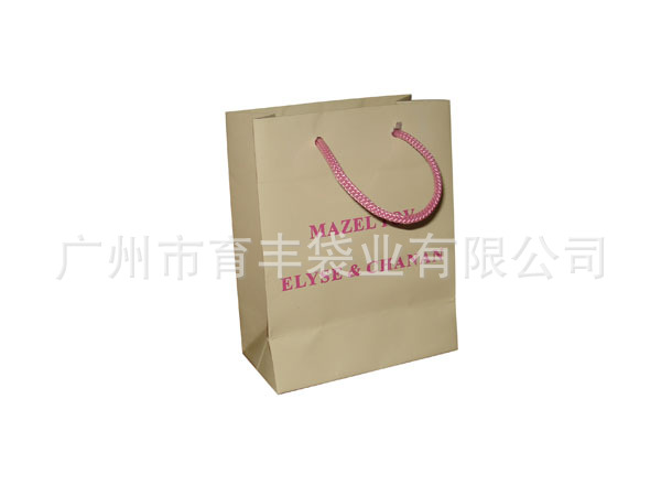 Gift-Paper-Bag-TYP004-