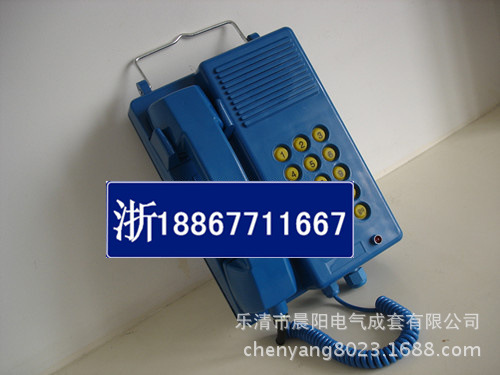 DSC04236_副本_副本