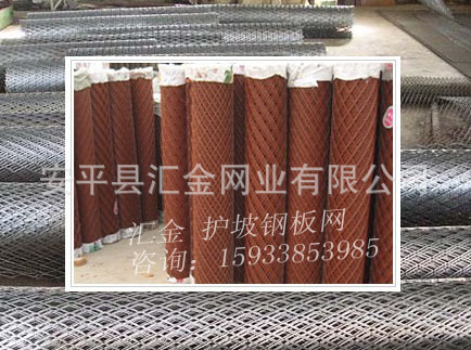 护坡钢板网