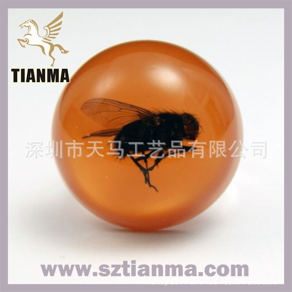 TM13002I hairy-fly_orange